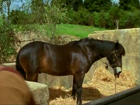 File:Get Jason horse 01.png