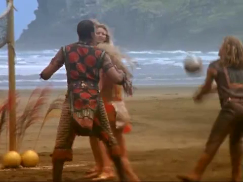 File:BeachNetBall.png