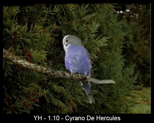 File:Songbird in 1.10 Cyrano de Hercules.png