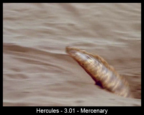 File:3.01 - Mercenary2.png