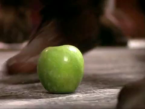 File:Artemis - green apple.png
