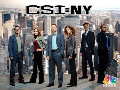 CSINY cover.jpg
